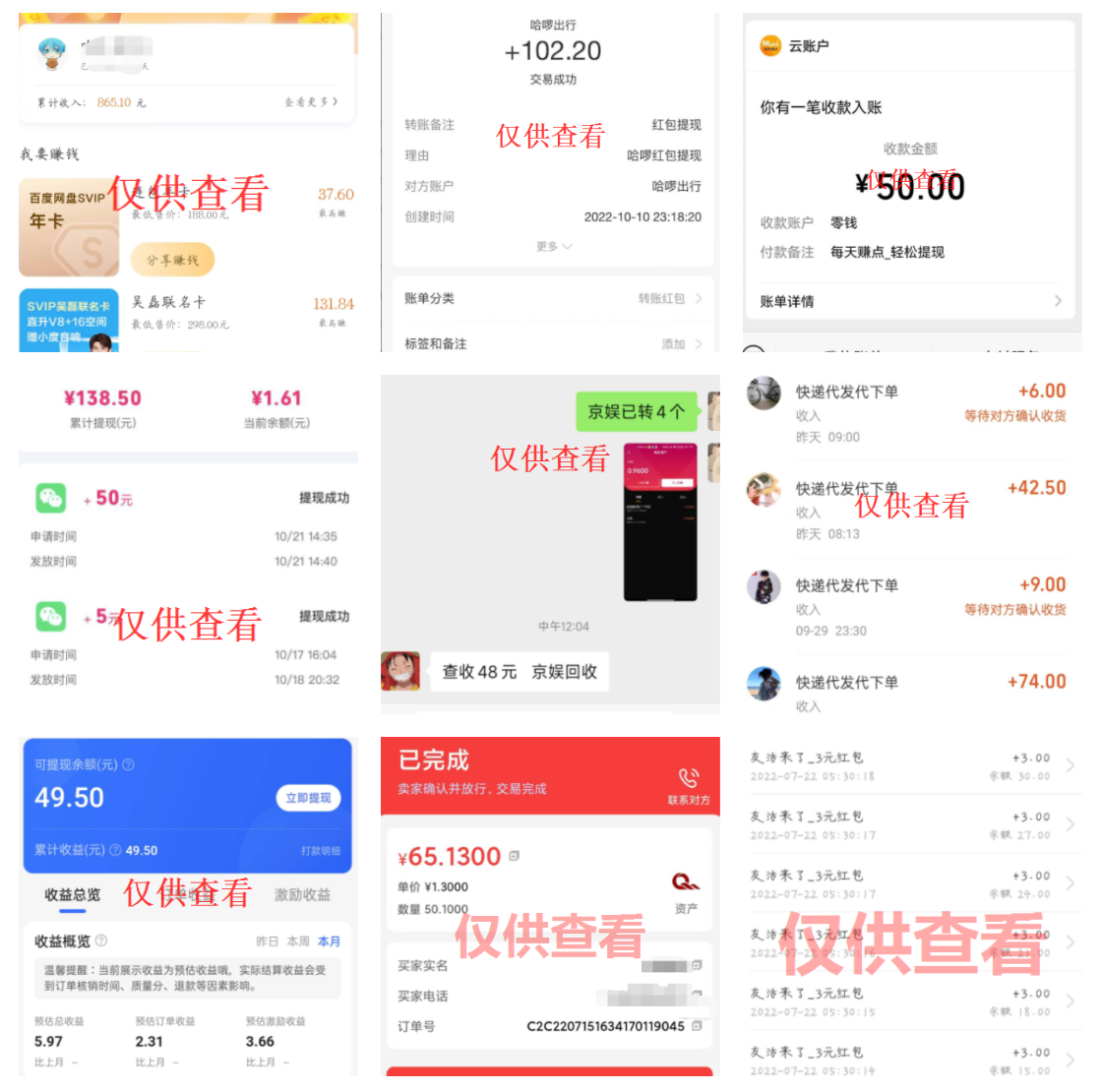 图片[32]-友金得独家揭秘：菜鸟如何快速在网上赚到第一桶金！-友金得